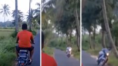 Viral Video Today: बाइक सवार के सिर पर अचानक गिर पड़ा बड़ा सा नारियल, नजारा देख आंखें फटी रह जाएंगी- देखें वीडियो