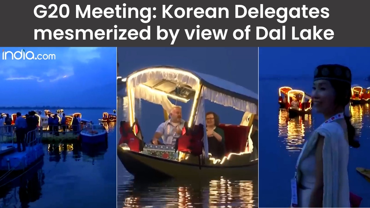 G20 Meeting in J-K: Korean Delegate mesmerised by surreal view of illuminating Shikaras in Dal Lake