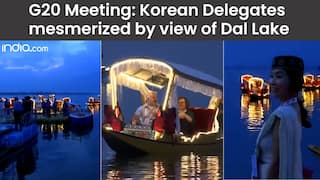 G20 Meeting in J-K: Korean Delegate mesmerised by surreal view of illuminating Shikaras in Dal Lake