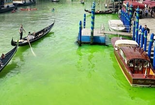 Viral Video: Venice Canal Patch Turns Fluorescent Green