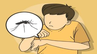Dengue Fever in Kids: 5 Major Symptoms to Watch Out For