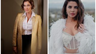 Lisa Ray Reacts to Priyanka Chopra's Remarks on Being 'Cornered' by Bollywood, Says 'She is a Bold Woman'