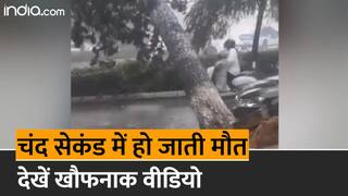 Viral Video: स्कूटी से जा रही थी लड़की, अचानक सड़क पर गिरा विशालकाय पेड़, वीडियो में देखें आगे क्या हुआ |Watch Video