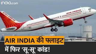 Air India Flight: मुंबई से दिल्ली आ रही एयर इंडिया की फ्लाइट में पैसेंजर ने की पेशाब, पुलिस ने किया गिरफ्तार | Watch Video