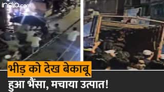 Viral Video: ट्रक में लाया गया था भैंसा, भीड़ को देखते ही हुआ बेकाबू, लोगों को रौंदते हुए भागा | Watch Video