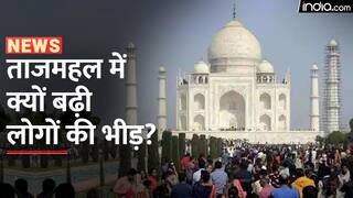 ताजमहल में अचानकर क्यों बढ़ गई पर्यटकों की संख्या, वीडियो मे जानें क्या है माजरा| Watch Video