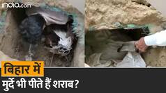 कब्रिस्तान से बरामद हुई शराब से भरी बोरियां, क्या मुर्दे पी रहे शराब?| Watch video