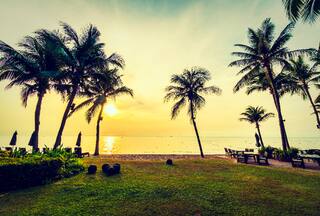 Holiday Heist: Kerala Introduces Social Media Bidding Game To Promote Tourism