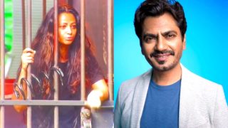 Nawazuddin Siddiqui's Ex-Wife Aaliya Siddiqui Reveals Truth Behind Alimony Accusations: 'Ek Rupay Nai Lia'