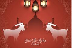 Happy Eid ul-Adha 2023: Best Wishes, Messages, Greetings, SMS, Wallpapers to Share With Your Loved Ones