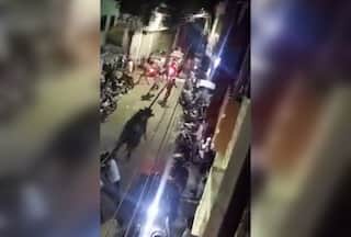 Caught-On-Cam: Mayhem As Buffalo Brought For Bakrid Sacrifice Runs Amok In Moradabad