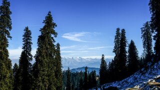 Hatu Peak: The Next Big Thing in Himachal Pradesh Tourism