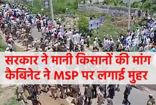 सूरजमुखी ही नहीं अन्य कई फसलों के लिए भी MSP पर कैबिनेट ने लगाई मुहर
