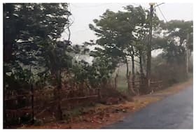 india.com top news