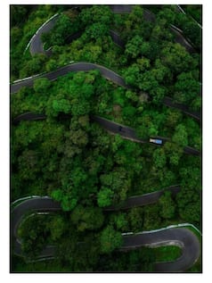 india.com webstories