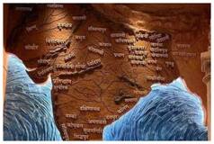 Nepal 'Instructs' Its Embassy In New Delhi To Send Report On    Akhand Bharat Mural