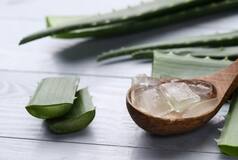 Aloe Vera Side Effects: This Medicinal Plant Can be Harmful, Know How