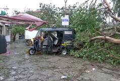 Trees Uprooted As Cyclone Biparjoy Makes Landfall In Gujarat: Watch