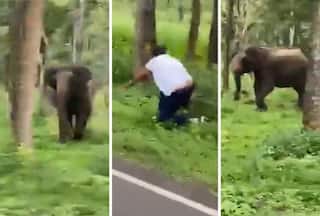 Hathi Ka Video: इलाके में शख्स को देखते ही गुस्सा गया जंगली हाथी, फिर जो किया आंखें फटी रह जाएंगी | वीडियो