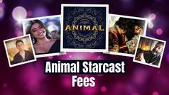 Animal Star Cast Fees: Ranbir Kapoor's Fees For The Film Is Shocking ! Know How Much Other Actors Charged - Watch Video