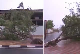 Cyclone Biparjoy: Netizens Flood Twitter with Terrifying Visuals of the Violent Storm