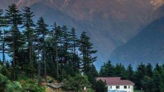 Toy Trains, Monasteries & Tea: Darjeeling, The Queen of Hills