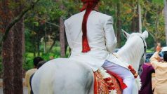 OMG! घोड़ी पर बैठकर निकलते ही दलित दूल्हे पर पथराव, पुलिस के जवानों को भी लगी चोट