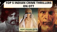 Indian Mafia To Crime Stories: Indian Detectives, Top 5 Indian Crime Document Series To Watch On OTT | Watch Video