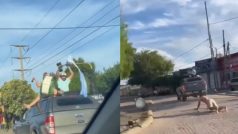 Funny Video: गाड़ी की छत पर ही ड्रम बजाने लगा लड़का, तभी ऐसा गिरा कोई हंसी ना रोक पाया