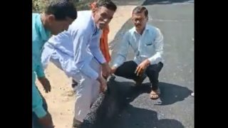 WATCH: Maharashtra Villagers 'Lift Up' Newly Built Road With Bare Hands