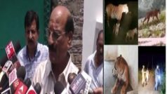 Viral: 'जो जन्म लेता है तो उसकी मृत्यु भी होती है'...पांच महीनों में 13 बाघों की मौत पर वन मंत्री का बयान वायरल