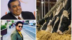 इस डेयरी में गायों के लिए चलते हैं 24 घंटे गाने, पिलाया जाता है RO का पानी, मुकेश अंबानी और तेंदुलकर पीते हैं यहीं का दूध