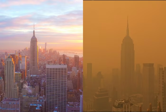 Lessons New Yorkers Can Learn from Delhi Amid Unprecedented Air Pollution