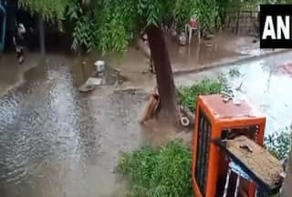 india.com top news