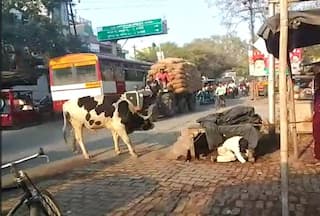 Bull Attack Video: राहगीरों पर सांड ने शुरू कर दिया हमला, इलाके में मच गई अफरा-तफरी | वीडियो