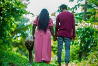 Couple's Pre-wedding Photoshoot Featuring Snake Goes Viral, Internet Says 'Should Be Nominated For Oscars'