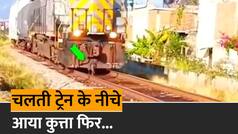Dog Ka Video: अचानक चलती ट्रेन के नीचे आया डॉगी, फिर भी बच गई जान, जानें कैसे| Watch Video