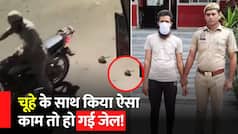 Rat Killing Viral Video: Noida में Bike से कुचल-कुचल कर दी चूहे की हत्या, पुलिस ने आरोपी को किया Arrest