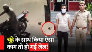 Rat Killing Viral Video: Noida में Bike से कुचल-कुचल कर दी चूहे की हत्या, पुलिस ने आरोपी को किया Arrest