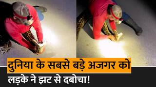 Ajgar Ka Video: 22 साल के लड़के ने खतरनाक तरीके से अजगर को दबोचा, वीडियो देखकर रोंगटे खड़े हो जाएंगे | Watch Video