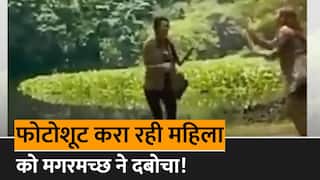 Magarmachh Ka Hamla: फोटो सेशन करा रही थी महिला, अचानक मगरमच्छ ने मारी Entry, फिर जो हुआ उसे देख कांप जाएगी आपकी रूह | Watc Video