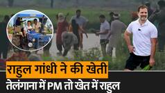 Rahul Gandhi Farming: कीचड़ में सने Rahul Gandhi ने Farmers के साथ की खेती