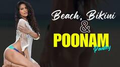 Bikini Looks: Poonam Pandey ने जलपरी बन दिखाई कातिल अदाएं, हुस्न के जलवे देख फैंस हुए बेताब