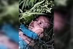 1-Yr-Old Baby Girl Found Dumped In Bushes In UP's Moradabad: Watch