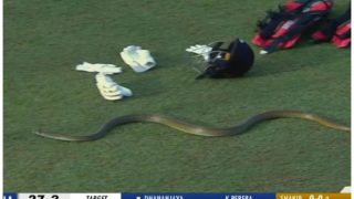 Snake Invades Pitch During Galle Titans vs Dambulla Aura Tie In LPL 2023 | WATCH VIRAL VIDEO