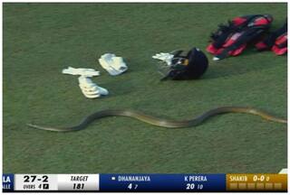 Snake Invades Pitch During Lanka Premier League Encounter | WATCH VIRAL VIDEO