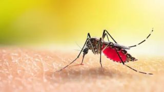 Health Alert: 4 Early Signs of Dengue You Should NOT Ignore