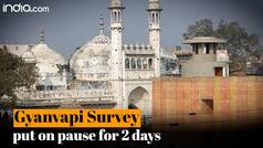 Gyanvapi Survey Halted For 2 Days, No Excavation Work To Be Undertaken By ASI Officials - Watch Video