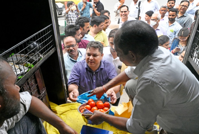 Government's Discounted Sale of Tomatoes Begins: Where To Buy In Delhi NCR and Lucknow
