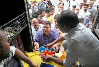 Government's Discounted Sale of Tomatoes Begins: Where To Buy In Delhi NCR and Lucknow